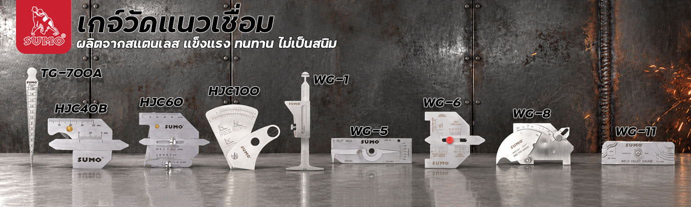 เกจ์วัดแนวเชื่อม เกจ์วัดแนวเชื่อม