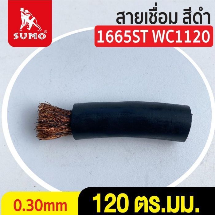 สายเชื่อม สีดำ# 120 ตร.มม. 0.30mm/1665ST WC1120