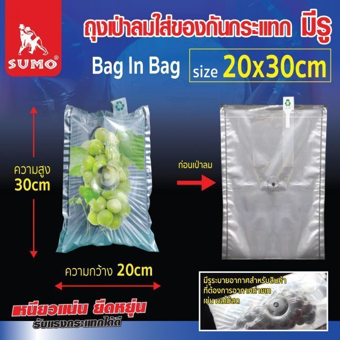 ถุงเป่าลมใส่ของกันกระแทก 20x30cm มีรู