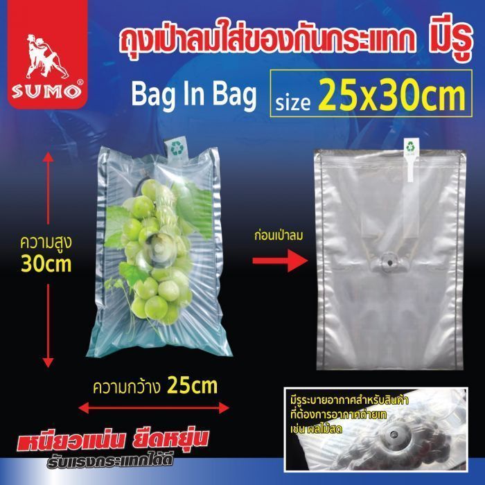 ถุงเป่าลมใส่ของกันกระแทก 25x30cm มีรู