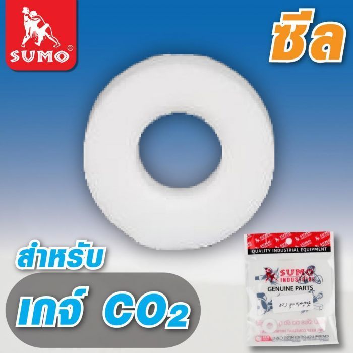 ซีลสำหรับเกจ์ CO2