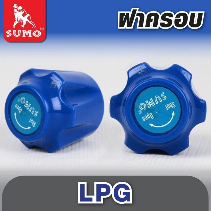 ฝาครอบ LPG