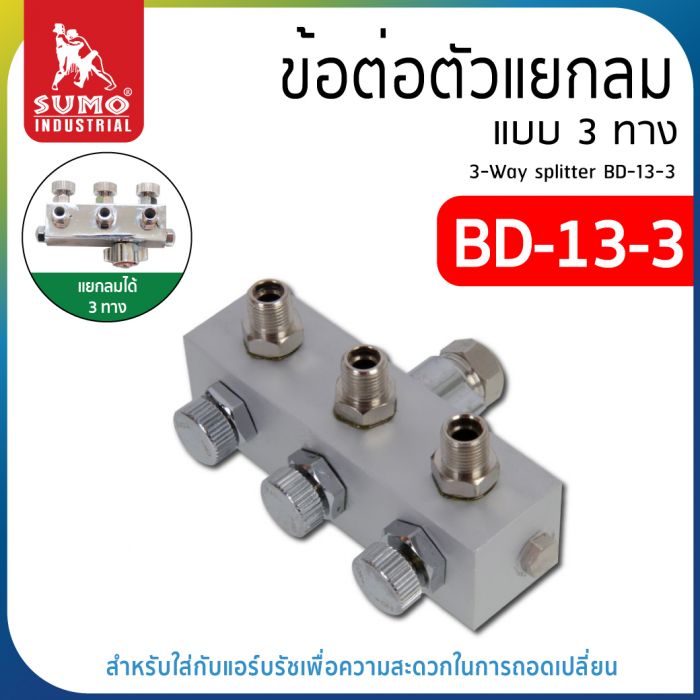 ข้อต่อตัวแยกลม 3 ทาง BD-13-3