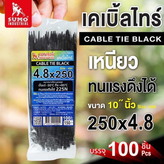 เคเบิ้ลไทร์ 250mm.(10")x4.8mm สีดำ