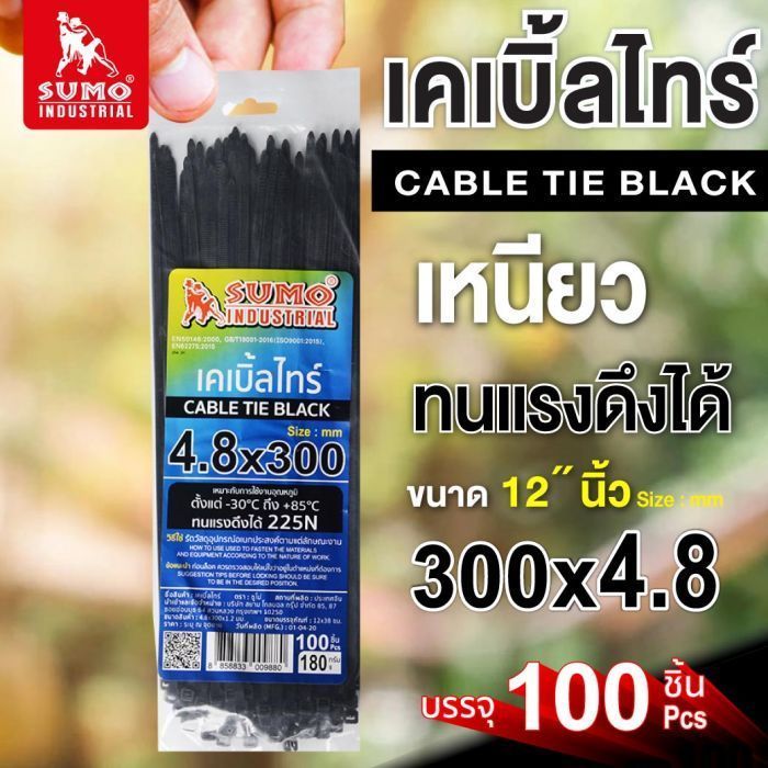 เคเบิ้ลไทร์ 300mm.(12")x4.8mm สีดำ