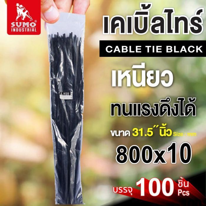 เคเบิ้ลไทร์ 800mm.(31.5")x10.0mm สีดำ