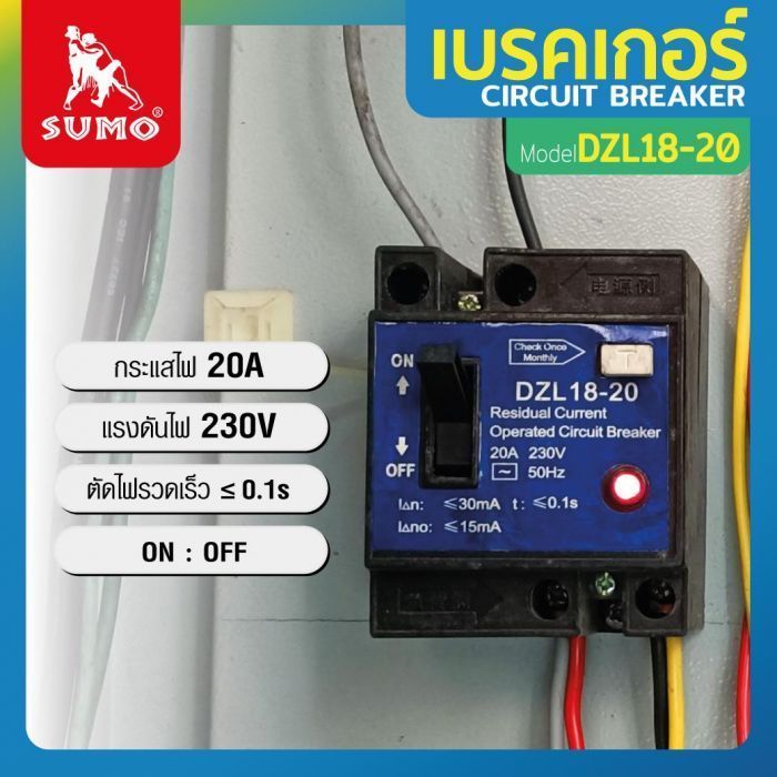 Circuit Breaker DZL18-20