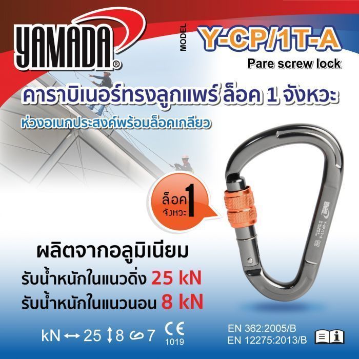 ล็อตใหม่