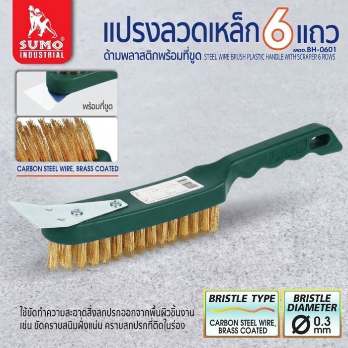 แปรงลวดเหล็ก