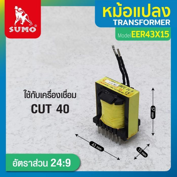 หม้อแปลง EER43x15 24:9