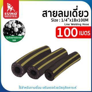 สายลมเดี่ยว size : 1/4
