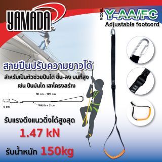 สายปีนไต่