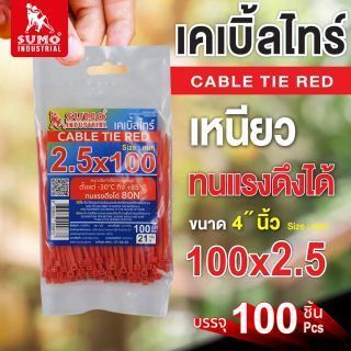 เคเบิ้ลไทร์ 100mm.(4
