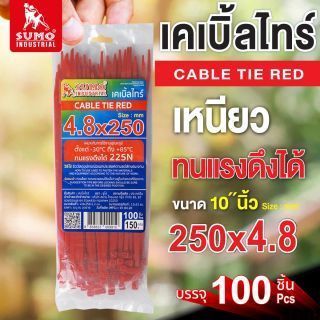 เคเบิ้ลไทร์ 250mm.(10