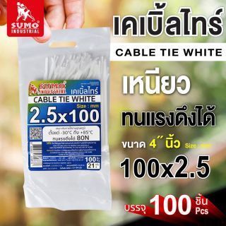 เคเบิ้ลไทร์ 100mm.(4