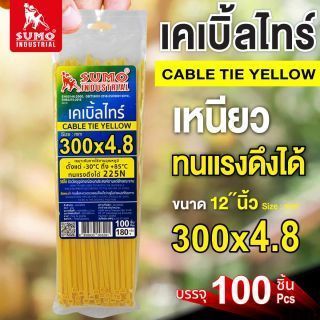 เคเบิ้ลไทร์ 300mm.(12
