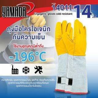ถุงมือไครโอเจนิกกันความเย็น -196 องศา 14