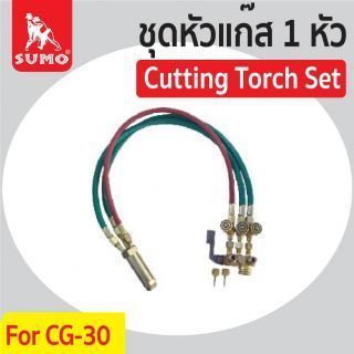 ชุดหัวตัดแก๊ส CG-30 1หัว