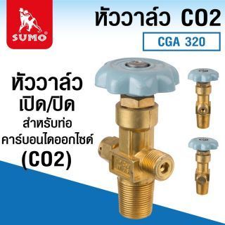 หัววาล์ว Co2 (CGA 320)