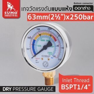 เกจวัดแรงดัน แบบแห้ง 63mm.x250barx1/4