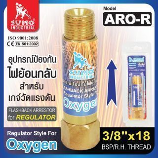 กันไฟย้อน ARO-R 3/8” (เกจ์)