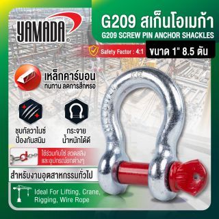 G209 สเก็นโอเมก้า ขนาด 1