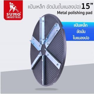 แป้นเหล็ก ขัดมัน (ใบแมลงปอ) 15