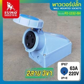 พาวเวอร์ปลั๊ก 2สาย 3ขา 63A รุ่น P2-1332-6H (ตัวเมีย) SUMO