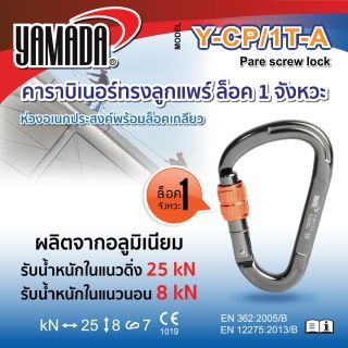 ล็อตใหม่