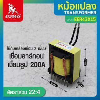 หม้อแปลง EER43x15, 22:4