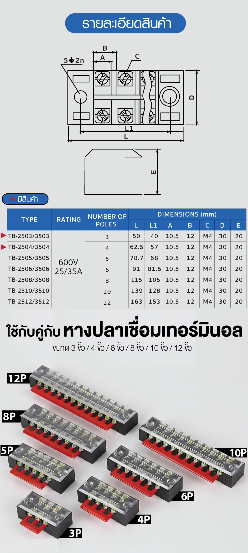 Terminal Block